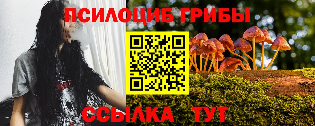 Псилоцибиновые грибы мицелий  Вход с VPN  Электросталь  Галлюциногенные грибы мухоморы 